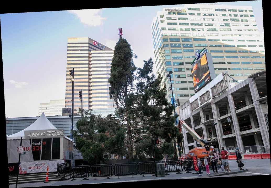 The pathetic Cincinnati Christmas tree is the ultimate symbol of 2020